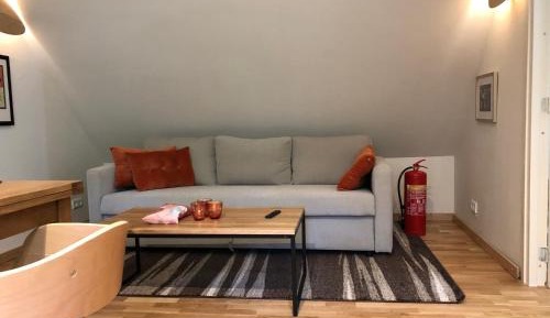 Superior Apartment with Sauna