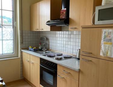 Large One-Bedroom Apartment