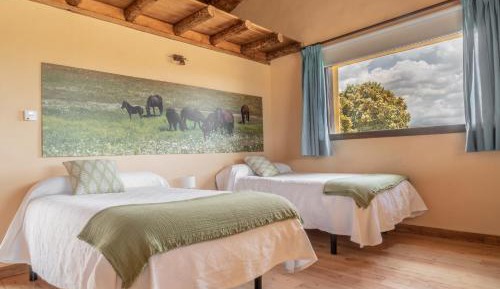 Standard Twin Room with Garden View