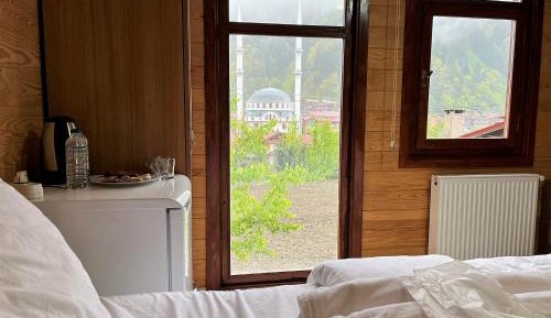 Family Room with Mountain View