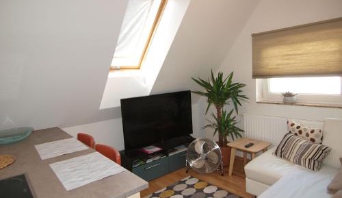 Studio with Garden View