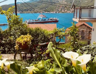 Studio with Terrace and Sea View (3 Adults)