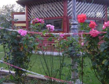 Twin Room with Garden View