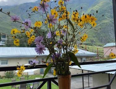 Comfort Triple Room with Shower