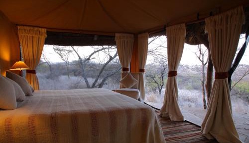 Safari Tent