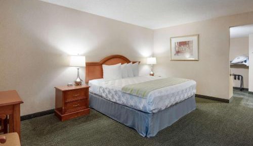 King Room with Roll-in Shower - Disability Access/Non-Smoking