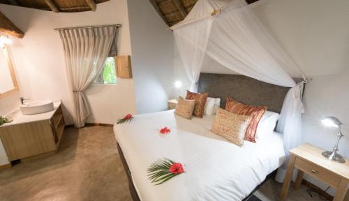 Luxury Room