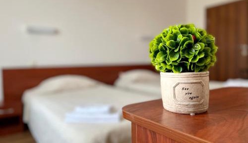 Deluxe Double or Twin Room with City View