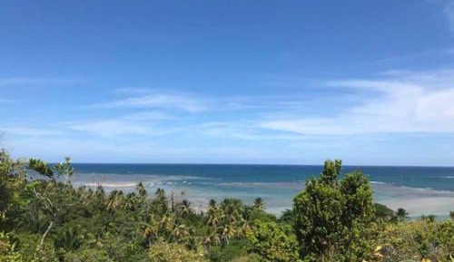 Geodesic Tent with View