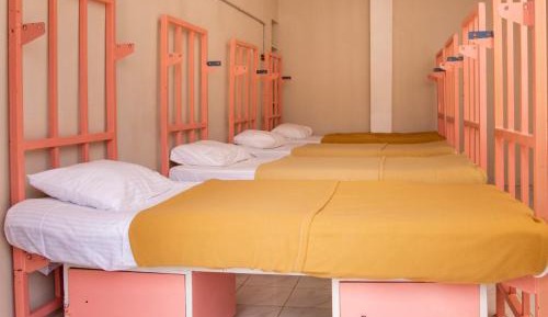 Bunk Bed in Mixed Dormitory Room