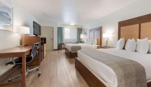 Queen Room with Two Queen Beds - Pet-Friendly/Non-Smoking