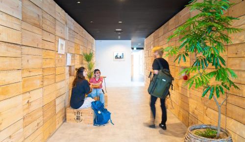 Bunk Bed in Mixed Dormitory Room