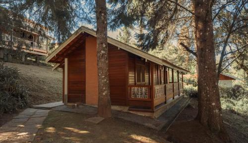 Chalet with fireplace