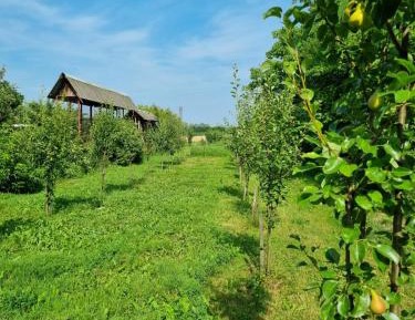 Apartment with Garden View