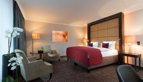 Business Deluxe Double Room