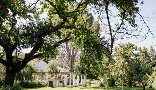 Double Room with Garden View