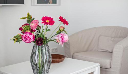 Superior One-Bedroom Apartment