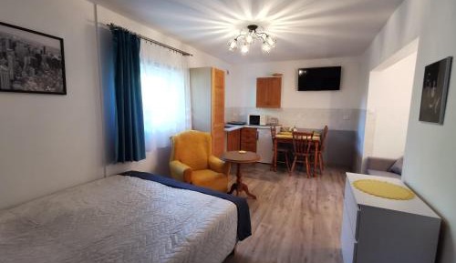 Studio with Garden View