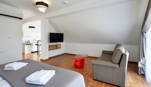 Apartment with Shower