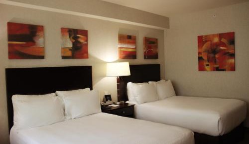 Standard Double Room with Two Double Beds - Disability Access