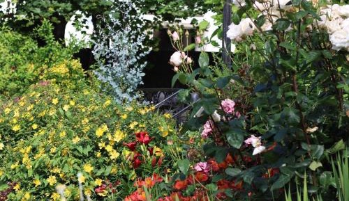 King Room with Garden View