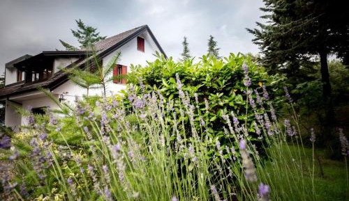 Apartment with Garden View