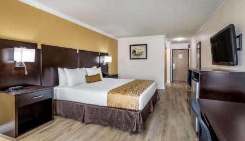 King Room with Roll-in Shower - Mobility Accessible/Non-Smoking
