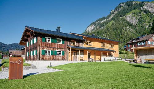 Double or Twin Room with Mountain View