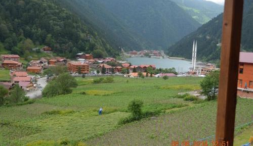 Two-Bedroom Apartment with Lake View