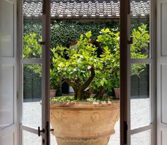 Suite with Garden View