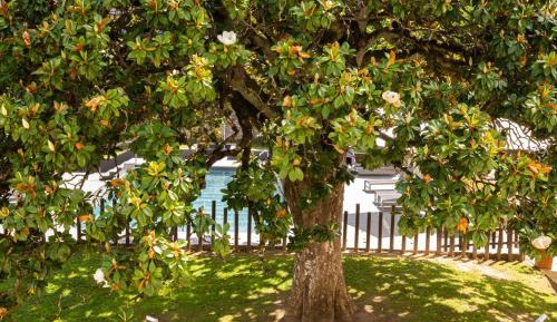 Junior Suite with Terrace