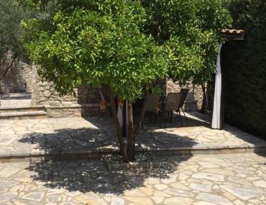 Apartment - Split Level