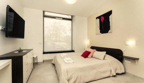 Large Double or Twin Room