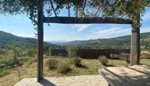 Double Room with Patio