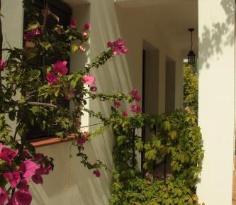 One-Bedroom Apartment (2 Adults)