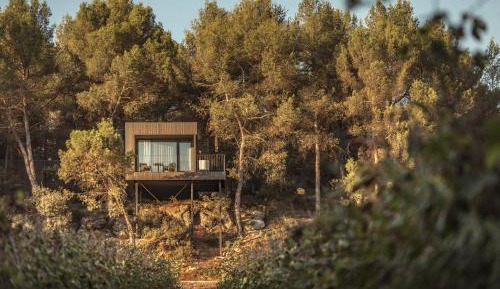 Mountain View Cottage