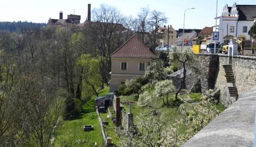Studio with Garden View