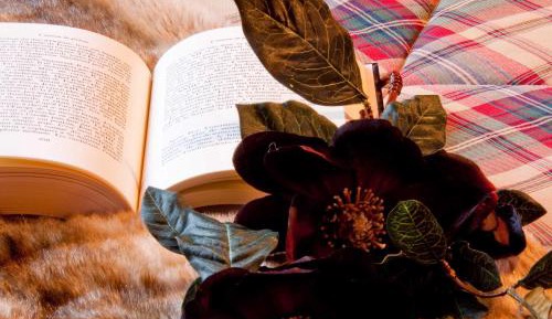 Duplex Premium II Room