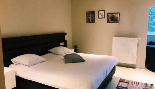 Superior Queen Room