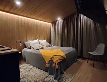 Superior Twin Room with Sauna