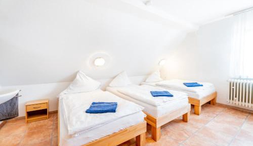 Triple Room with Shared Bathroom and Toilet