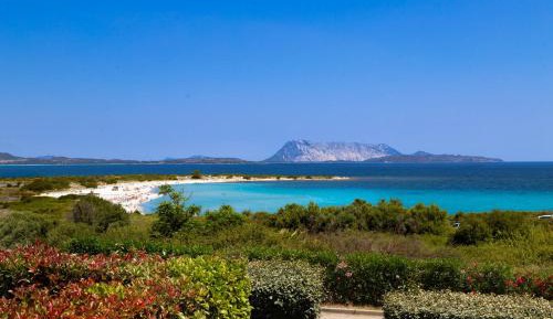 Three-Bedroom Superior Apartment