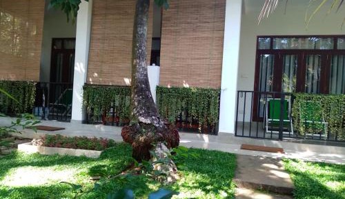 King Room with Garden View