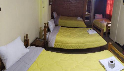 Bed in 6-Bed Mixed Dormitory Room