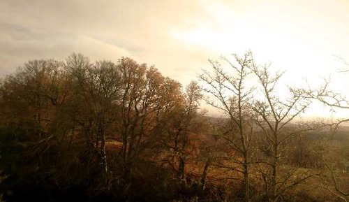 Superior Twin or Superior King Room with En-Suite