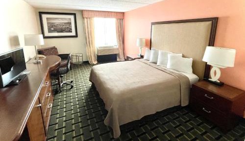 Standard King Room