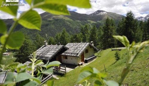 Superior Chalet