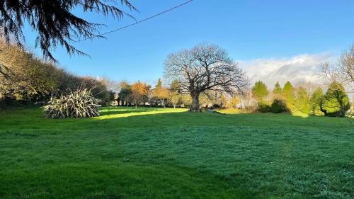 Studio - Split Level