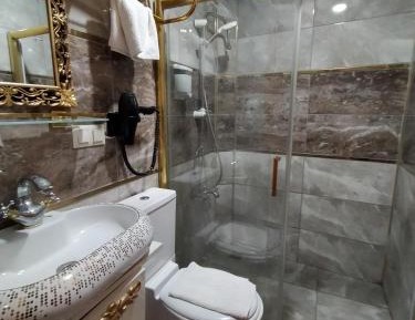 Deluxe Double or Twin Room with Mountain View