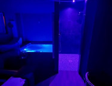 Deluxe Double or Twin Room with Pool Access